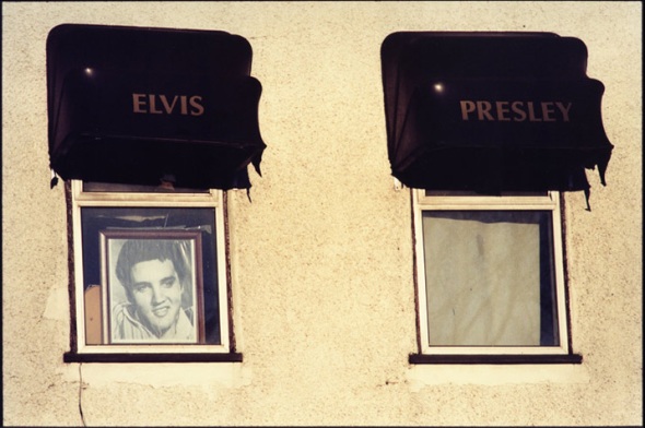 Elvis-©-David-Secombe